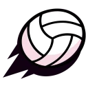 Volley Brawl