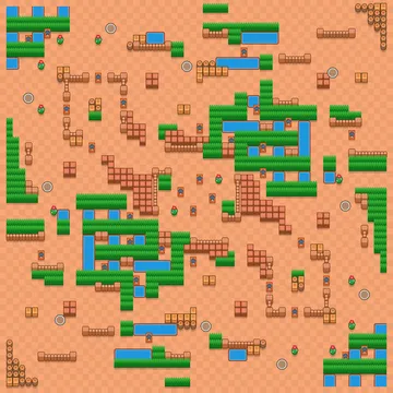 Rice Field layout